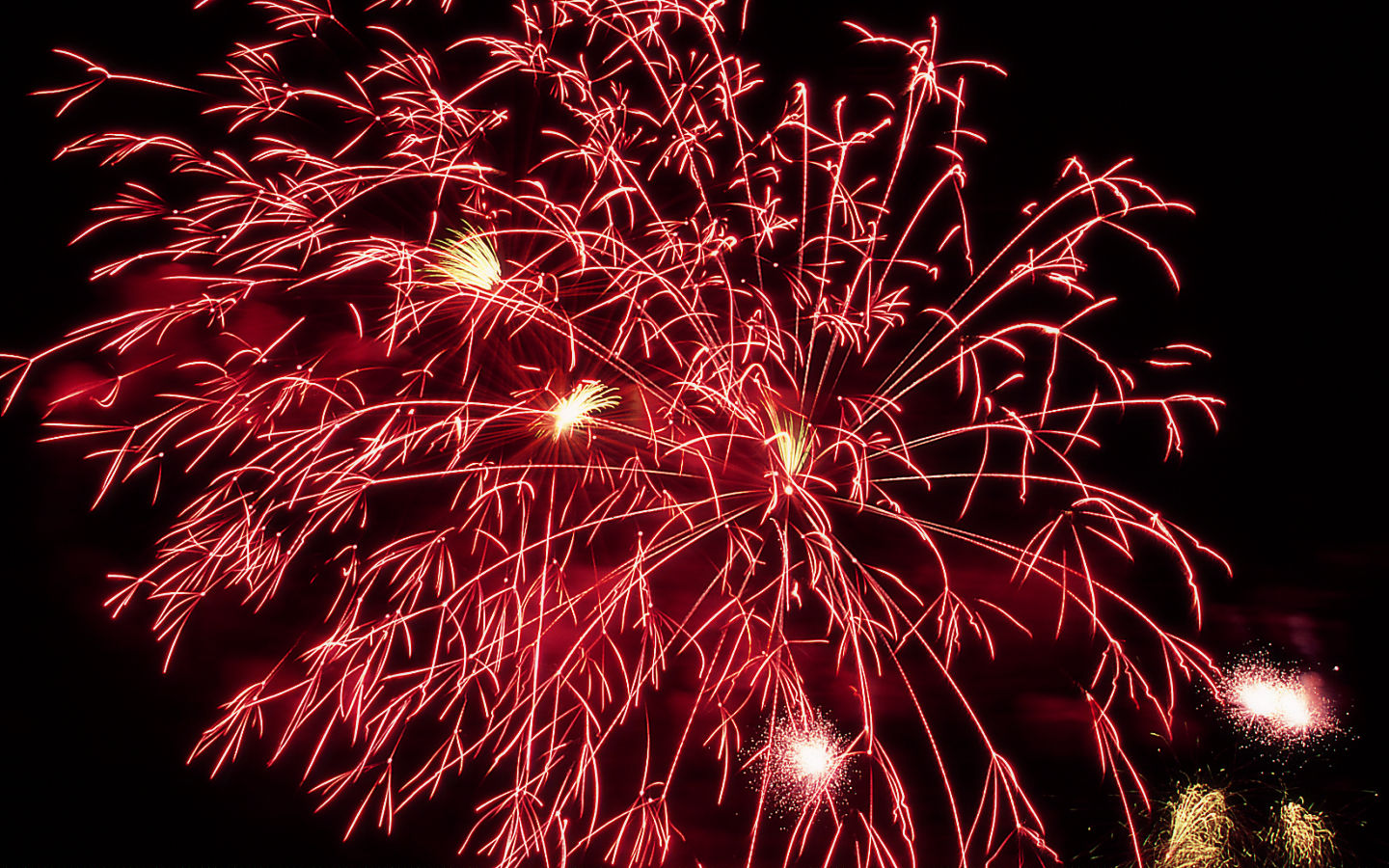 Fireworks #19 - 1440x900