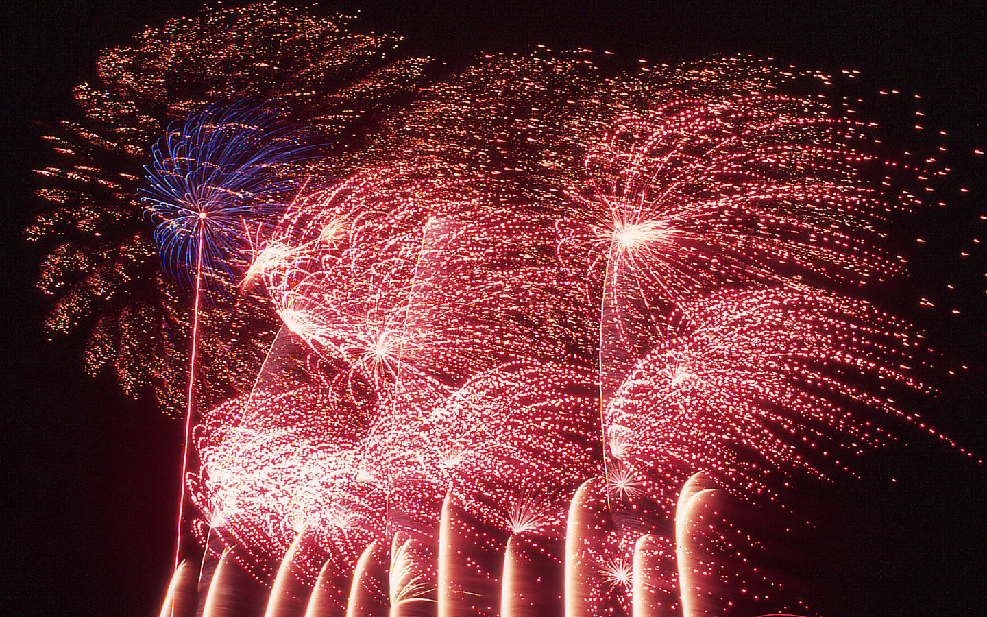 Fireworks #61 - 1440x900