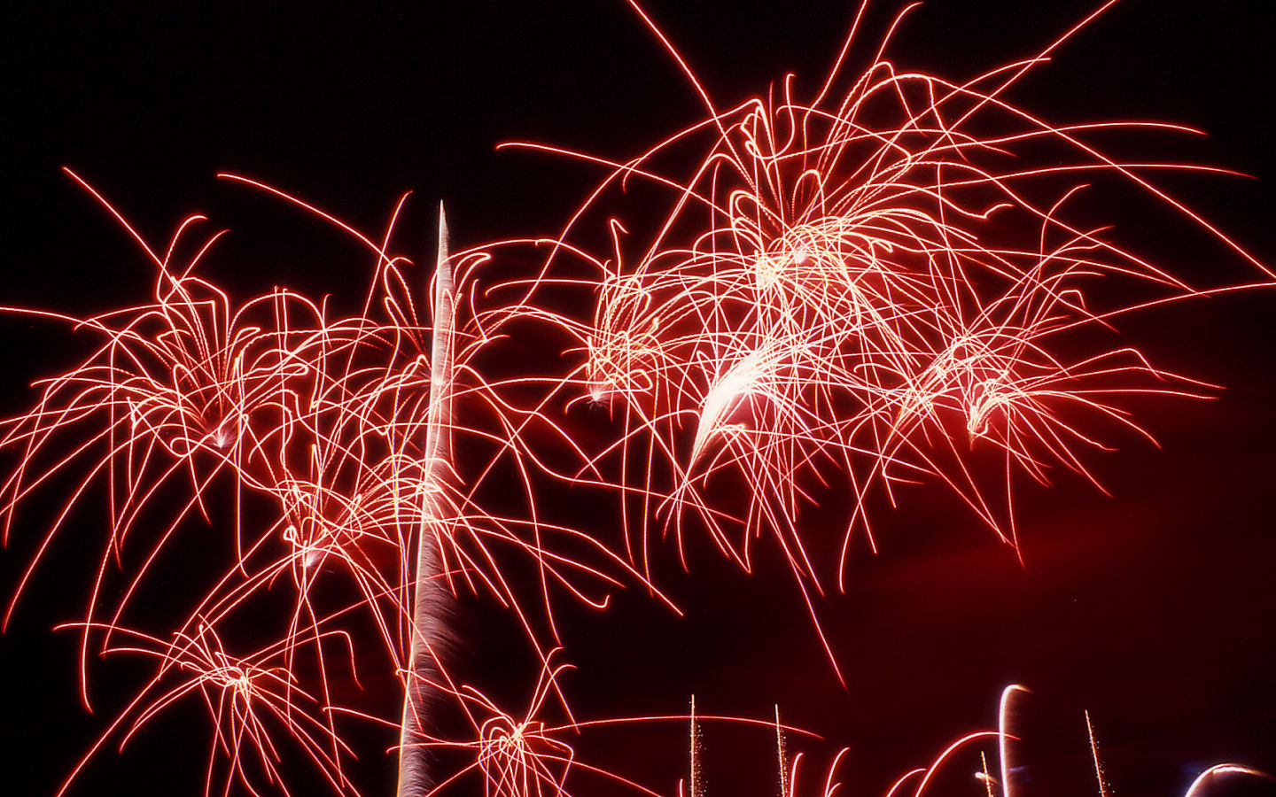 Fireworks #67 - 1440x900