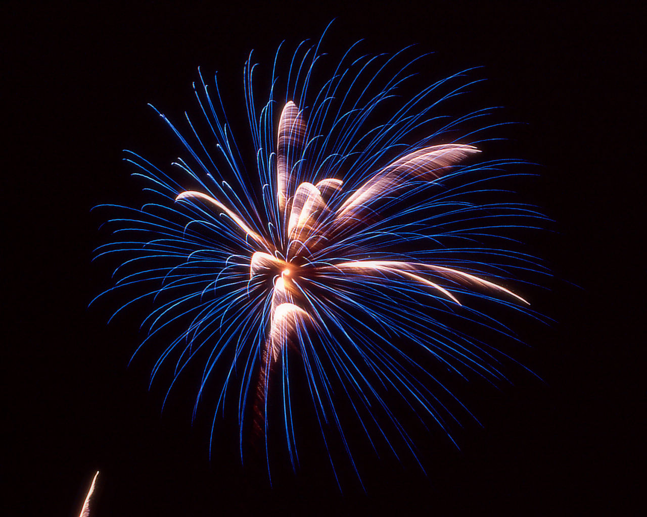 Fireworks #68 - 1280x1024