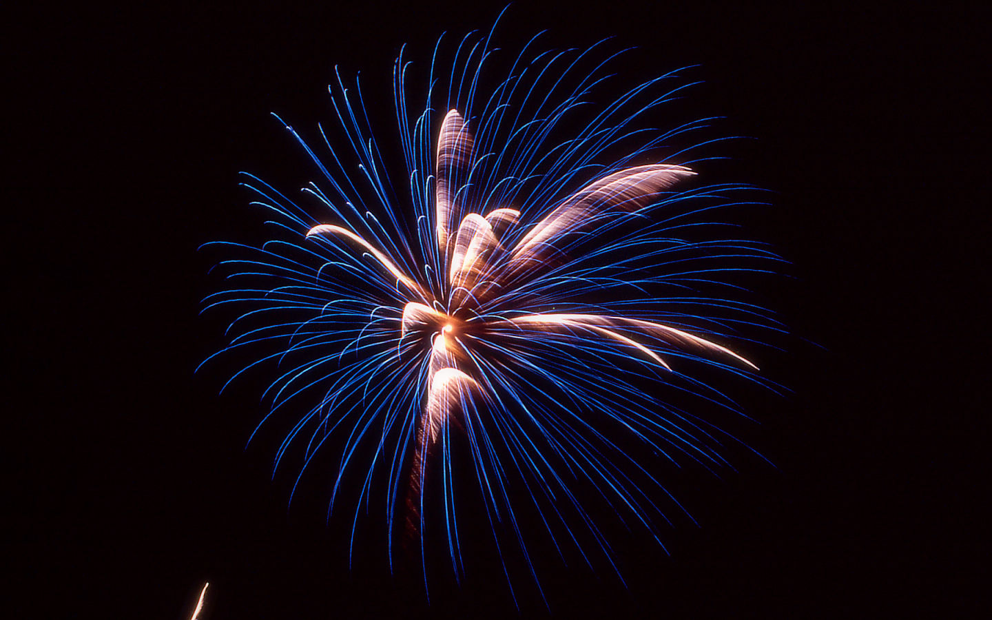 Fireworks #68 - 1440x900