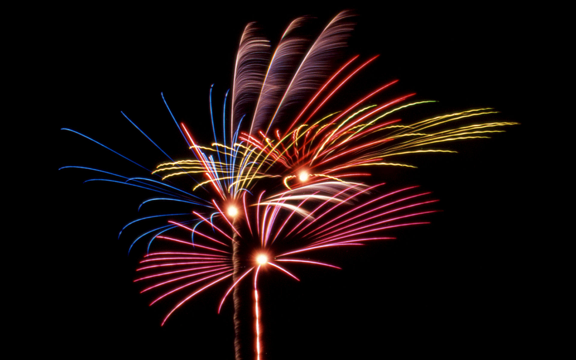 Fireworks #69 - 1920x1200