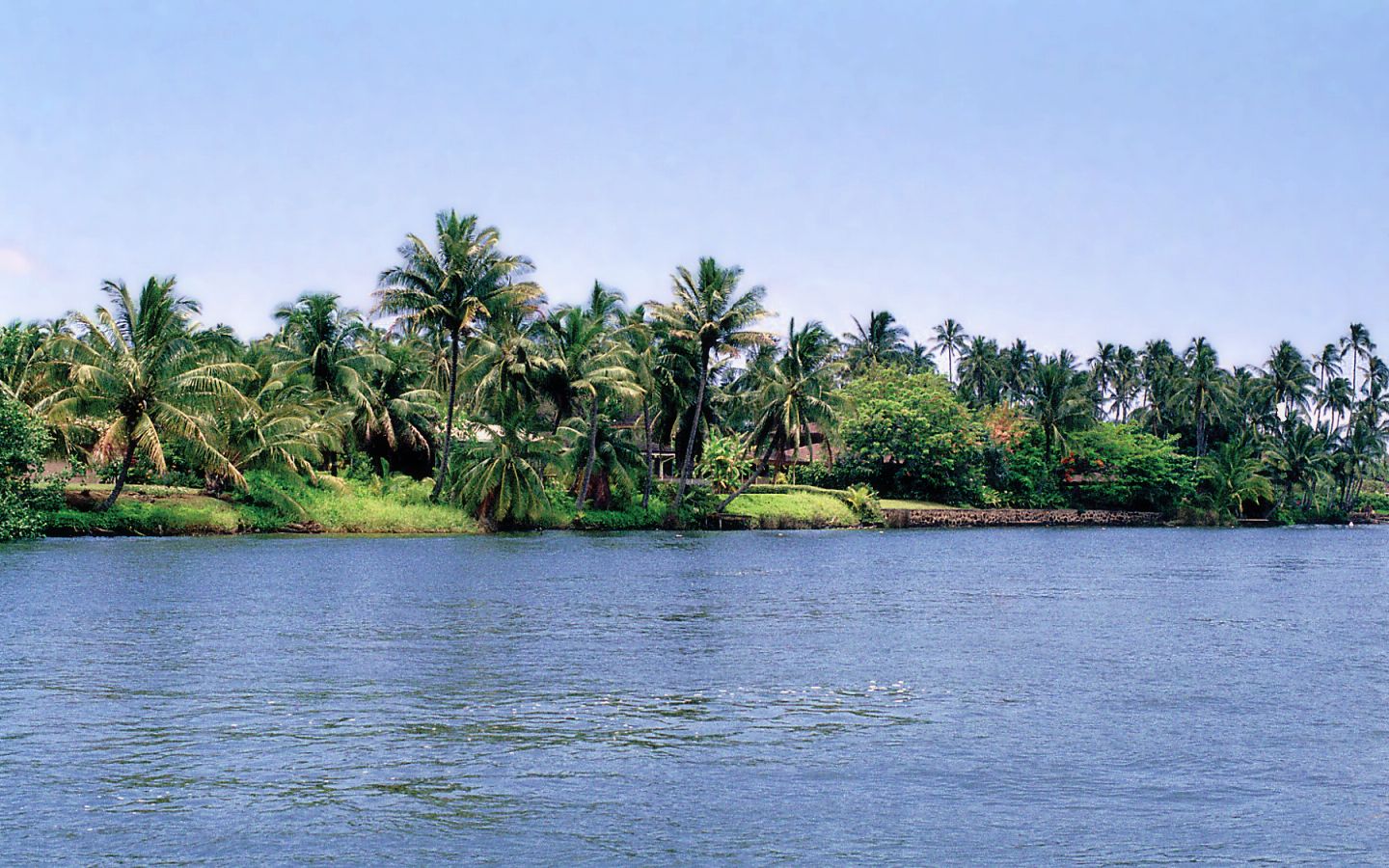 Wailua River - 1440x900