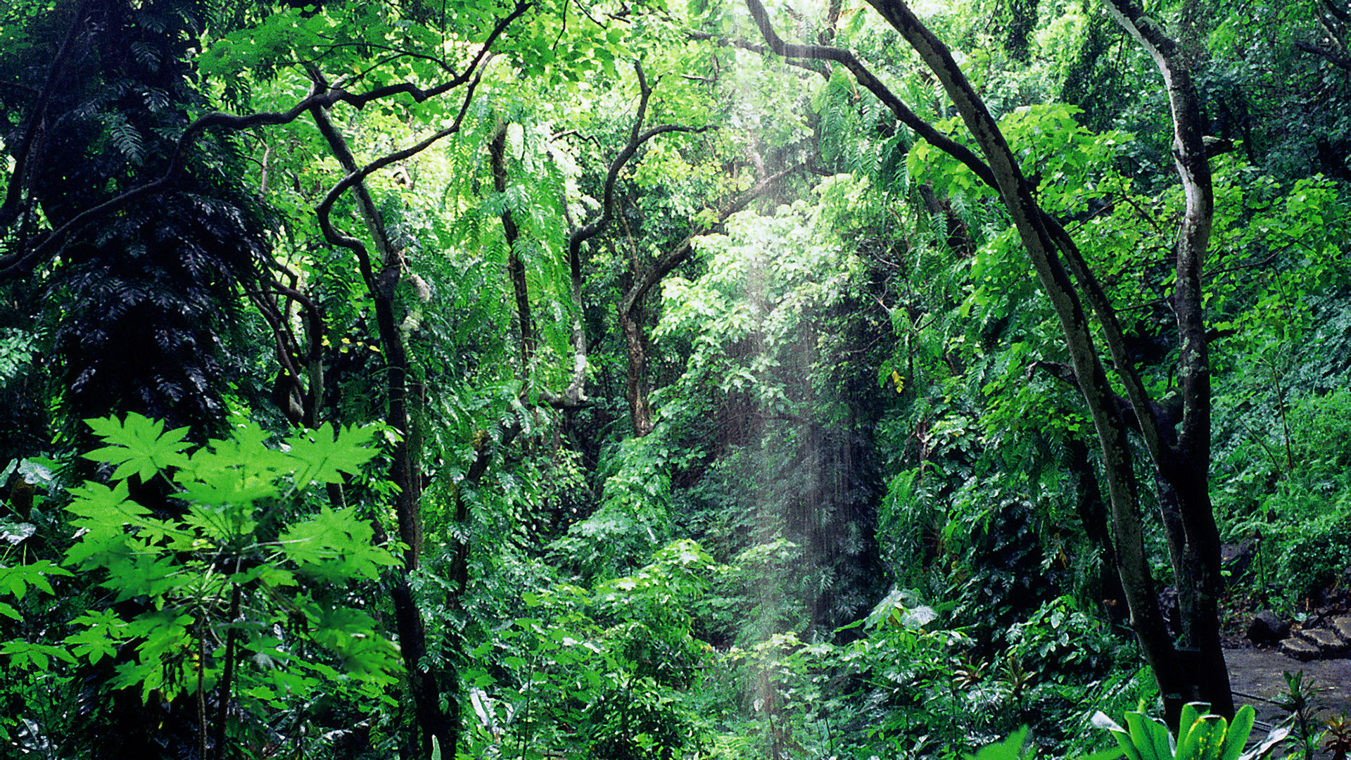 Kauai #3 - 1920x1080