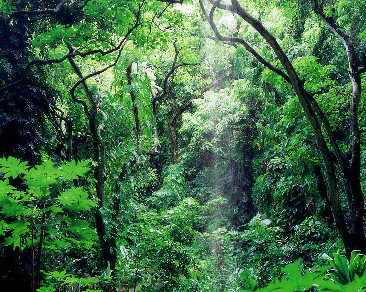 Kauai #3 - 1280x1024