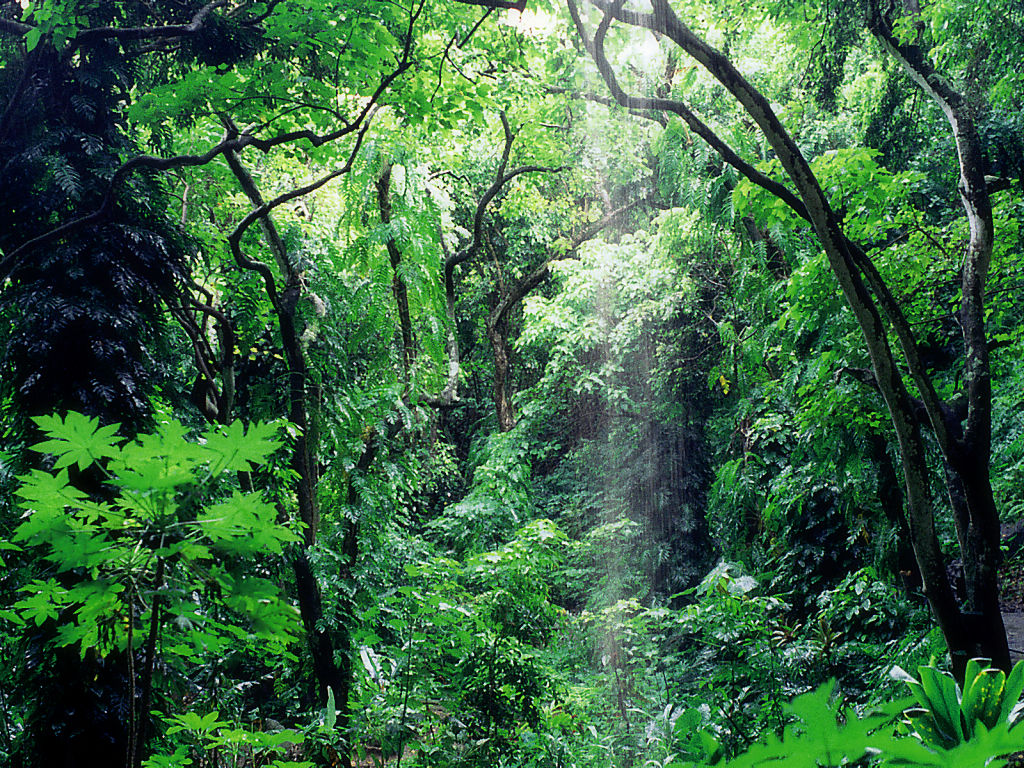 Kauai #3 - 1024x768