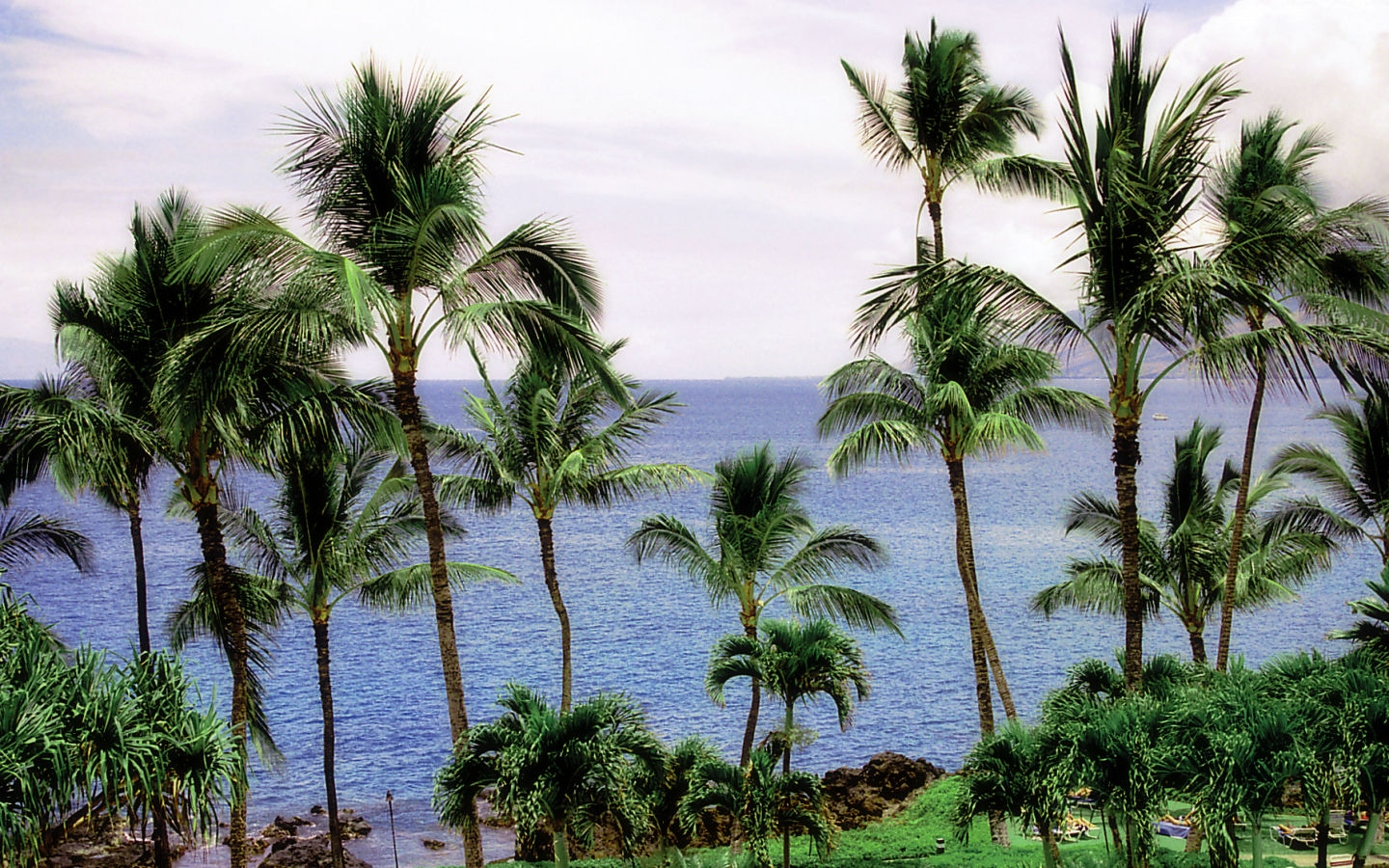 Maui #1 - 1440x900