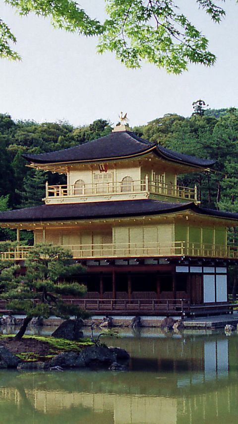 金閣寺 #2 - 480x854