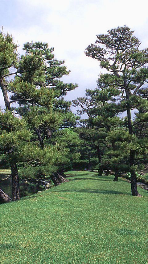 養翠園 - 480x854