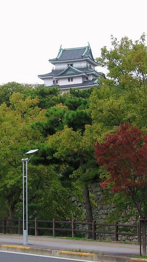 和歌山城 #2 - 480x854