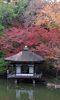 和歌山城公園