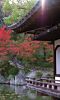 和歌山城公園