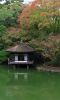 和歌山城公園