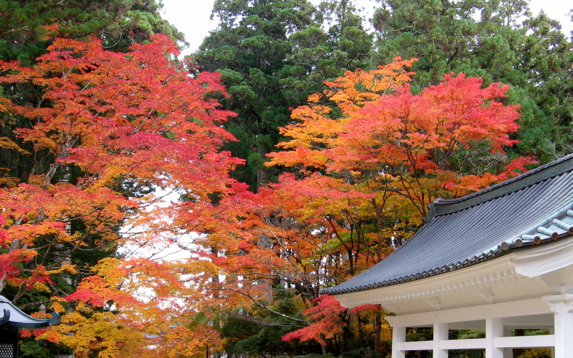 Koyasan Jabaramichi #3 - 1920x1200