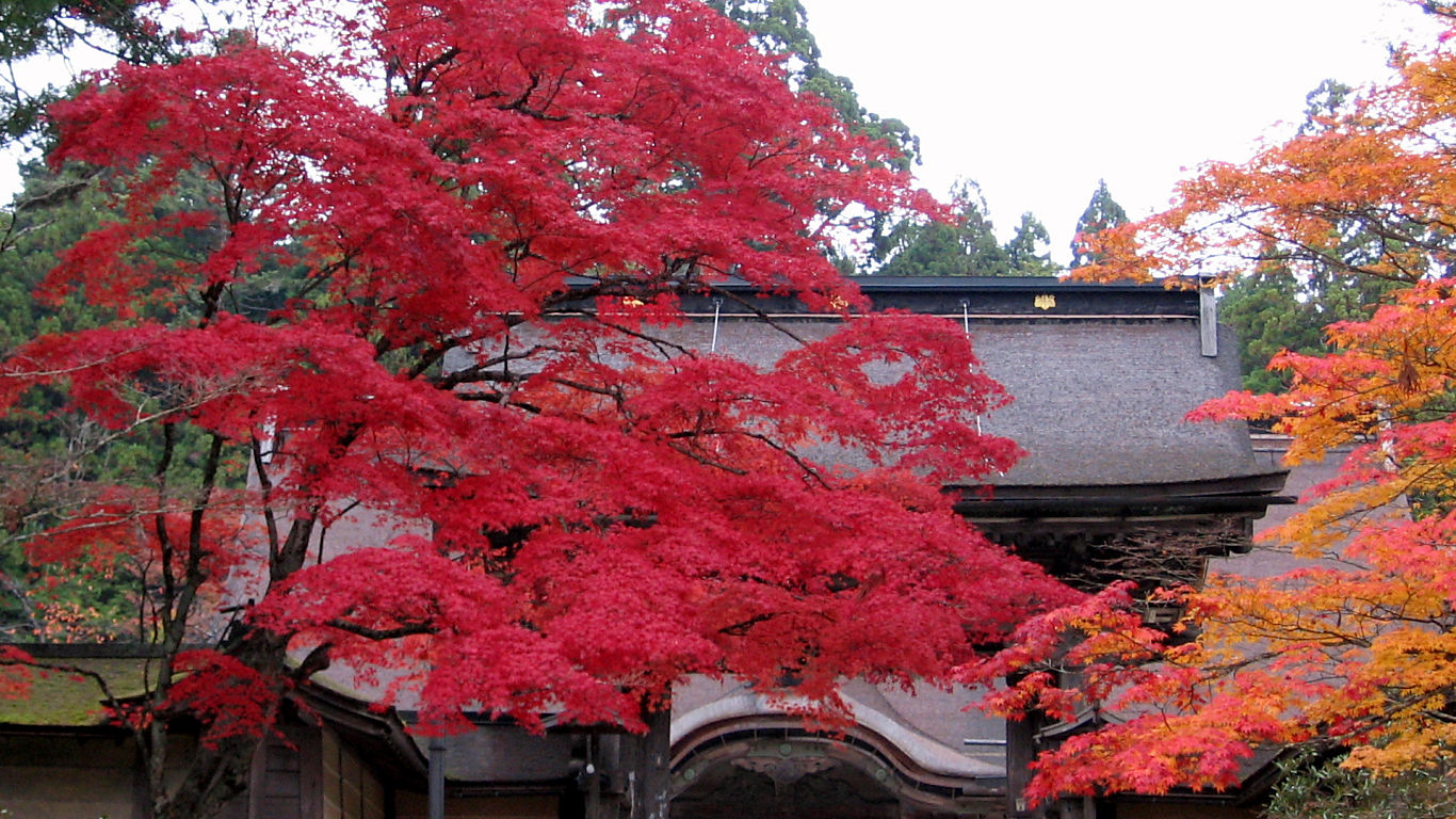 Kongobuji Main Gate - 1366x768