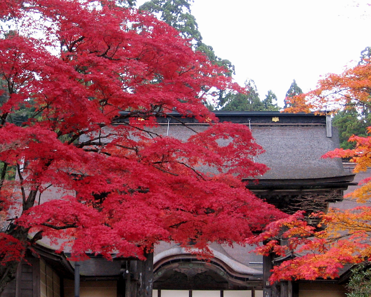 金剛峯寺 正門 - 1280x1024