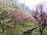 Scenery