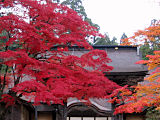 金剛峯寺 正門