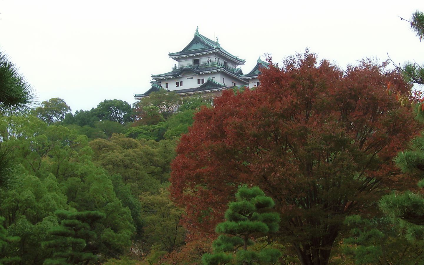 Wakayama Castle #1 - 1440x900