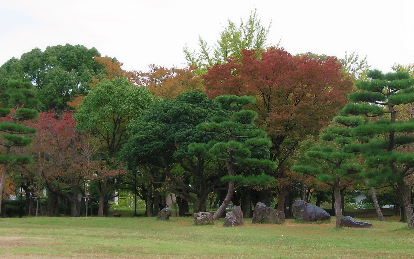 二の丸広場 #2 - 1440x900