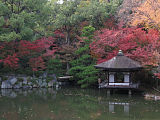 和歌山城公園