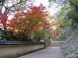 Wakayama Castle Park